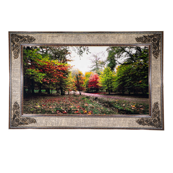 Autumn Forest Trail Scene - 154 x 97 cm (1.4938 m2)