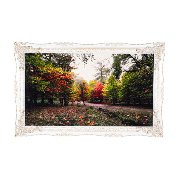 Autumn Forest Panorama - 157 x 100 cm  ( 1.57 m2 )