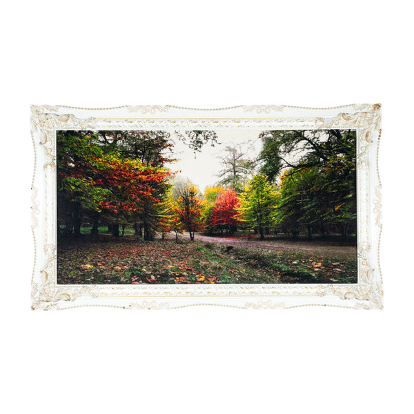 Autumn Forest Path with Colorful Trees - 158 x 92 cm  ( 1.4536 m2 )